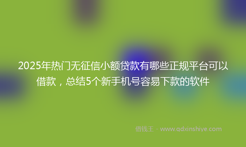 2025年热门无征信小额贷款有哪些正规平台可以借款，总结5个新手机号容易下款的软件