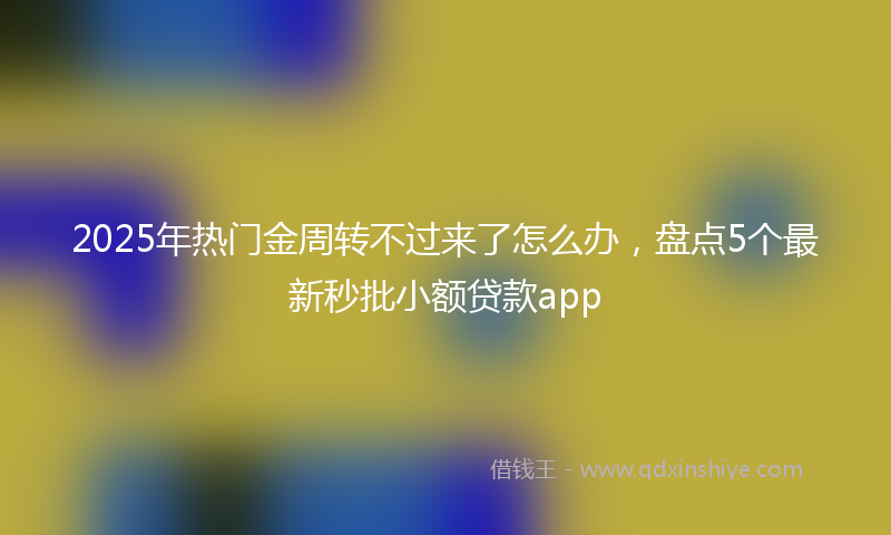 2025年热门金周转不过来了怎么办，盘点5个最新秒批小额贷款app