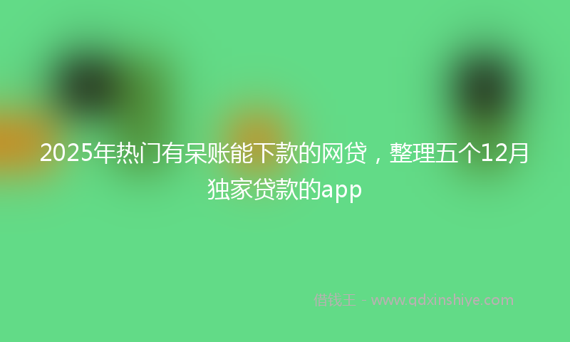 2025年热门有呆账能下款的网贷，整理五个12月独家贷款的app