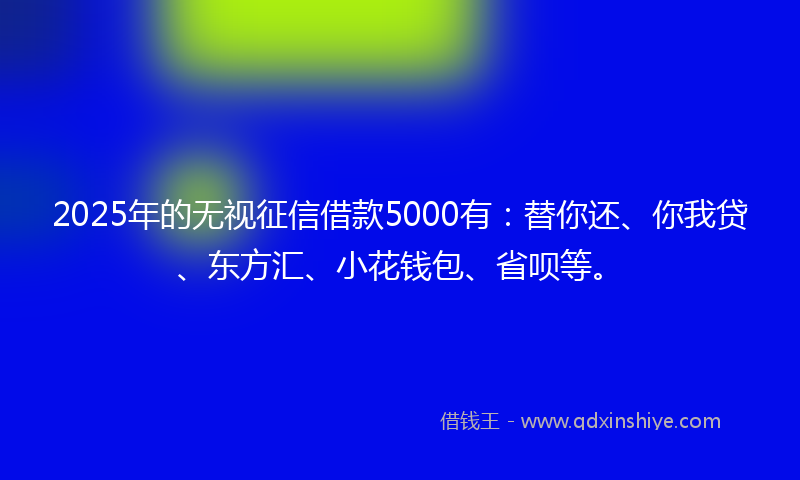 2025年的无视征信借款5000有：替你还、你我贷、东方汇、小花钱包、省呗等。