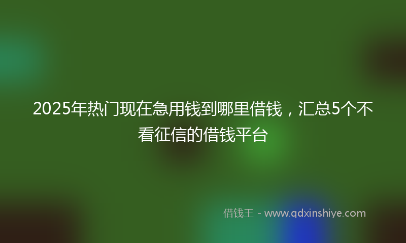2025年热门现在急用钱到哪里借钱，汇总5个不看征信的借钱平台