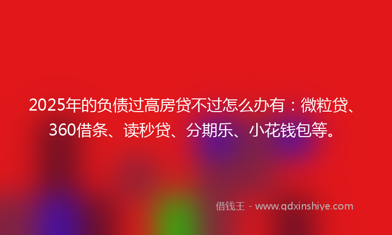 2025年的负债过高房贷不过怎么办有：微粒贷、360借条、读秒贷、分期乐、小花钱包等。