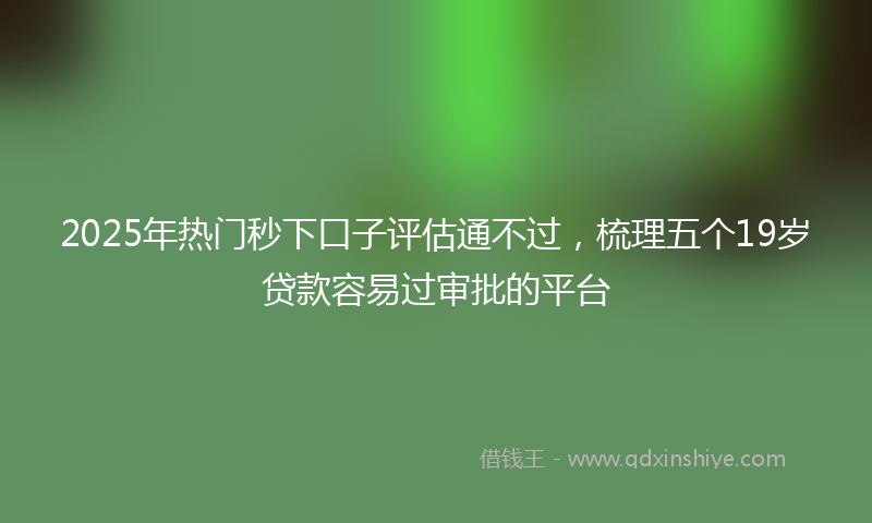2025年热门秒下口子评估通不过，梳理五个19岁贷款容易过审批的平台