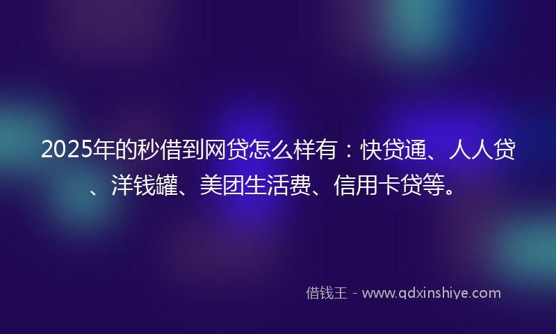 2025年的秒借到网贷怎么样有：快贷通、人人贷、洋钱罐、美团生活费、信用卡贷等。