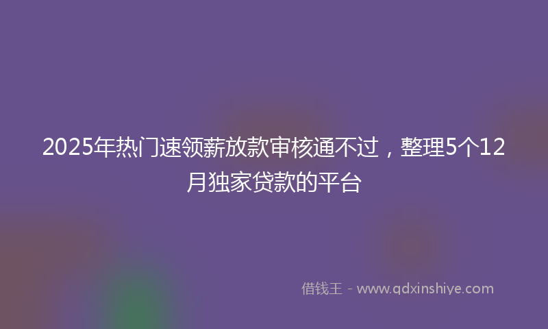 2025年热门速领薪放款审核通不过，整理5个12月独家贷款的平台