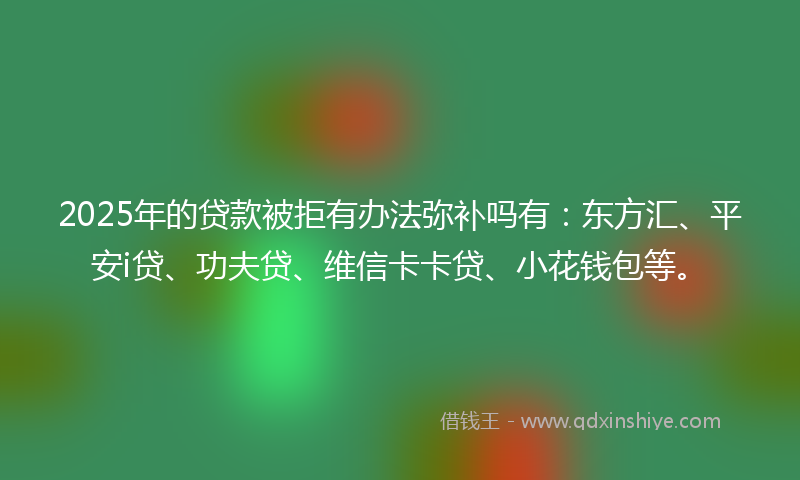 2025年的贷款被拒有办法弥补吗有：东方汇、平安i贷、功夫贷、维信卡卡贷、小花钱包等。