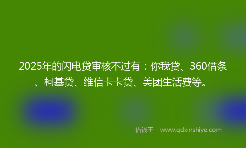 2025年的闪电贷审核不过有：你我贷、360借条、柯基贷、维信卡卡贷、美团生活费等。
