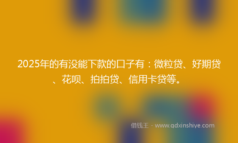 2025年的有没能下款的口子有：微粒贷、好期贷、花呗、拍拍贷、信用卡贷等。