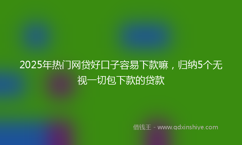 2025年热门网贷好口子容易下款嘛，归纳5个无视一切包下款的贷款