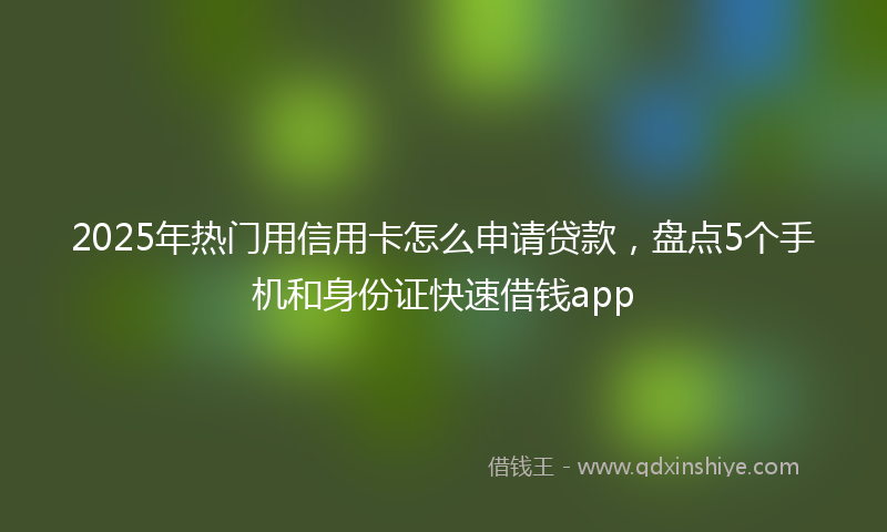 2025年热门用信用卡怎么申请贷款，盘点5个手机和身份证快速借钱app