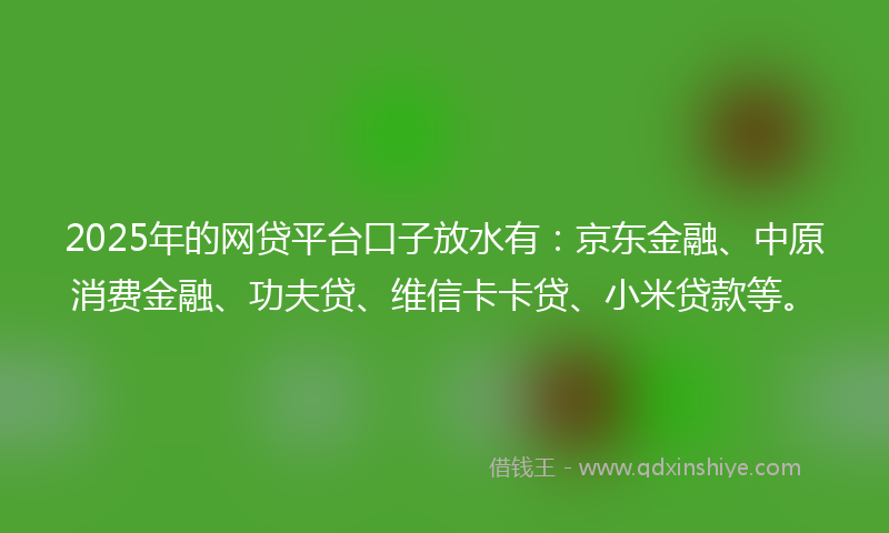 2025年的网贷平台口子放水有：京东金融、中原消费金融、功夫贷、维信卡卡贷、小米贷款等。