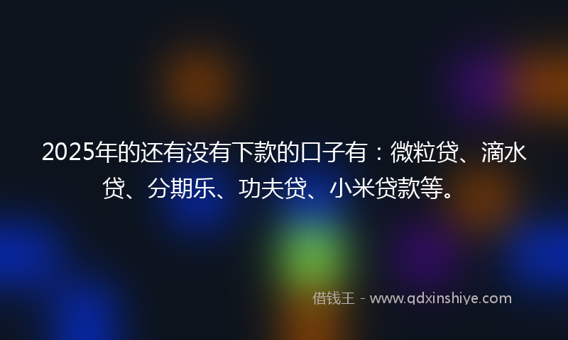 2025年的还有没有下款的口子有：微粒贷、滴水贷、分期乐、功夫贷、小米贷款等。