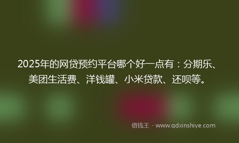 2025年的网贷预约平台哪个好一点有：分期乐、美团生活费、洋钱罐、小米贷款、还呗等。