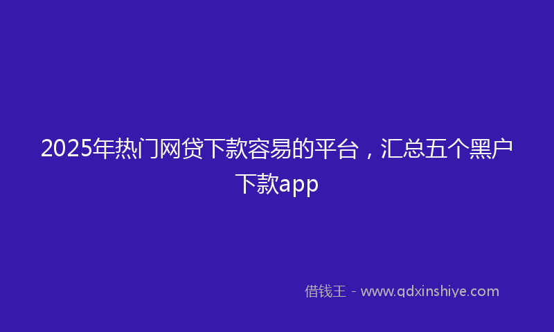 2025年热门网贷下款容易的平台，汇总五个黑户下款app