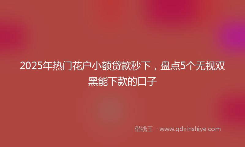 2025年热门花户小额贷款秒下，盘点5个无视双黑能下款的口子