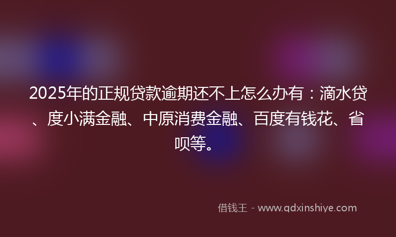 2025年的正规贷款逾期还不上怎么办有：滴水贷、度小满金融、中原消费金融、百度有钱花、省呗等。