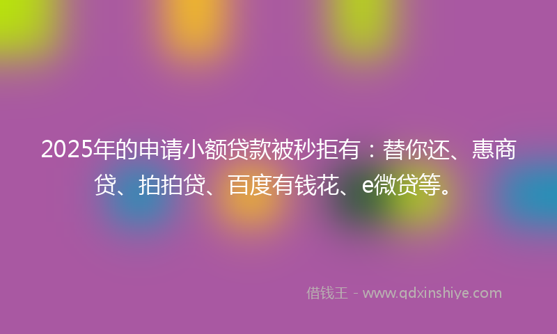 2025年的申请小额贷款被秒拒有：替你还、惠商贷、拍拍贷、百度有钱花、e微贷等。