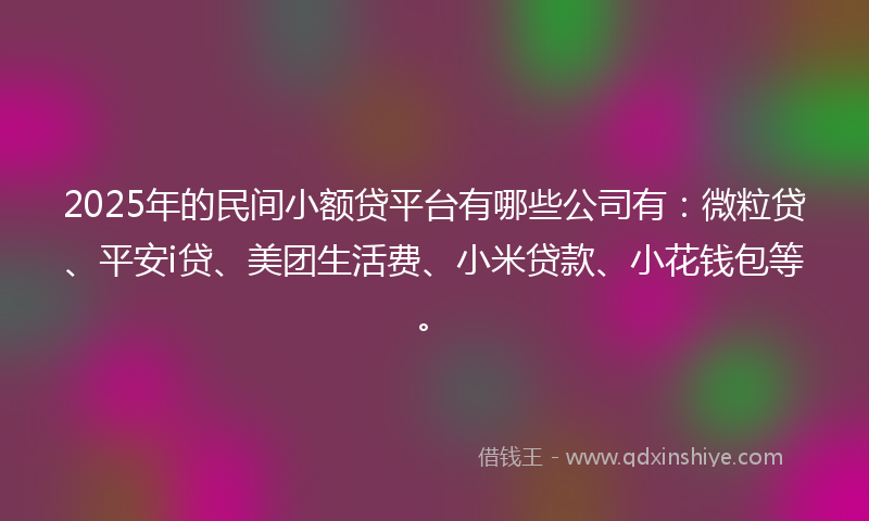 2025年的民间小额贷平台有哪些公司有：微粒贷、平安i贷、美团生活费、小米贷款、小花钱包等。