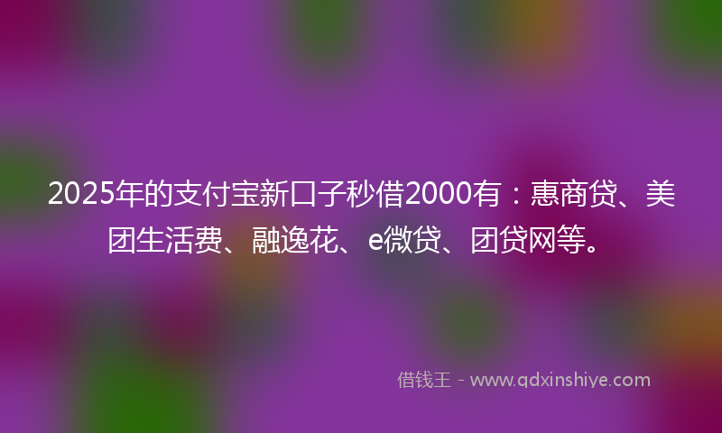 2025年的支付宝新口子秒借2000有：惠商贷、美团生活费、融逸花、e微贷、团贷网等。