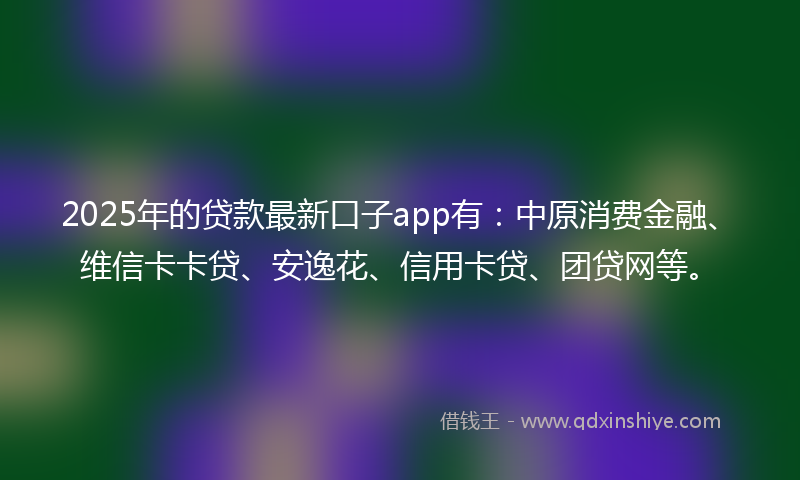 2025年的贷款最新口子app有：中原消费金融、维信卡卡贷、安逸花、信用卡贷、团贷网等。