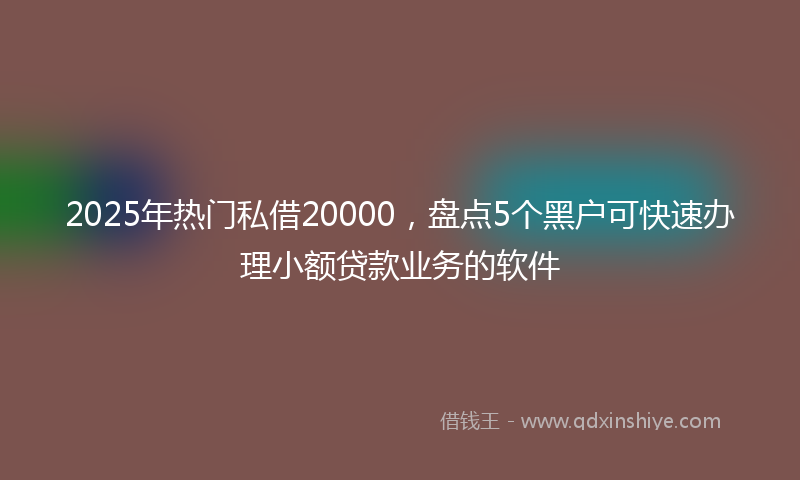 2025年热门私借20000，盘点5个黑户可快速办理小额贷款业务的软件