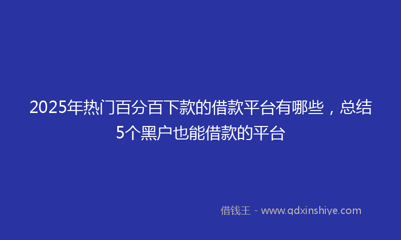 2025年热门百分百下款的借款平台有哪些，总结5个黑户也能借款的平台