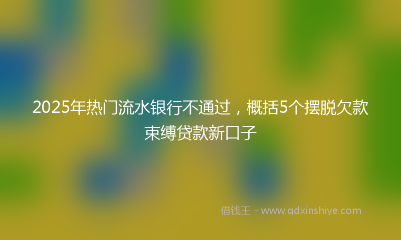2025年热门流水银行不通过，概括5个摆脱欠款束缚贷款新口子