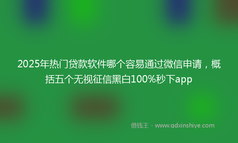 2025年热门贷款软件哪个容易通过微信申请，概括五个无视征信黑白100%秒下app