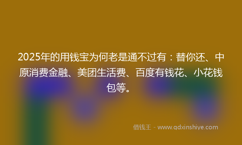 2025年的用钱宝为何老是通不过有：替你还、中原消费金融、美团生活费、百度有钱花、小花钱包等。