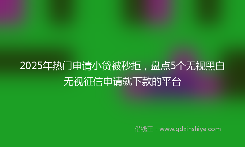 2025年热门申请小贷被秒拒，盘点5个无视黑白无视征信申请就下款的平台
