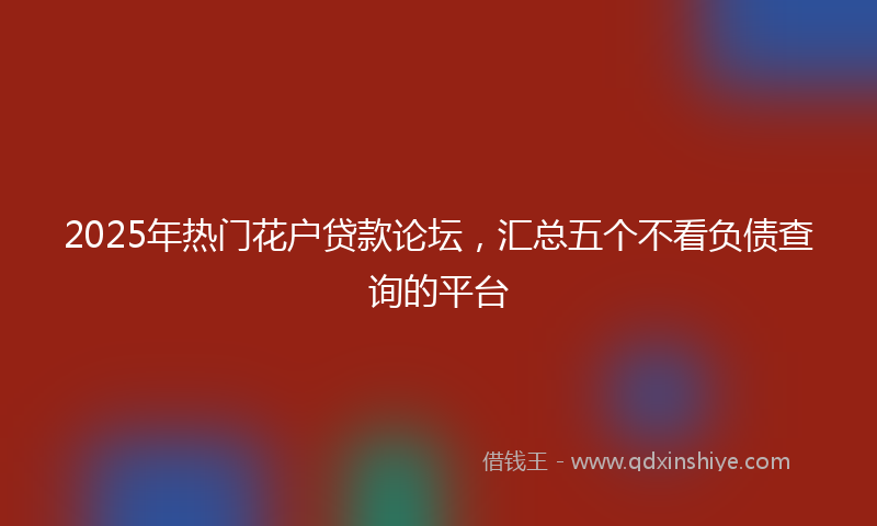 2025年热门花户贷款论坛，汇总五个不看负债查询的平台