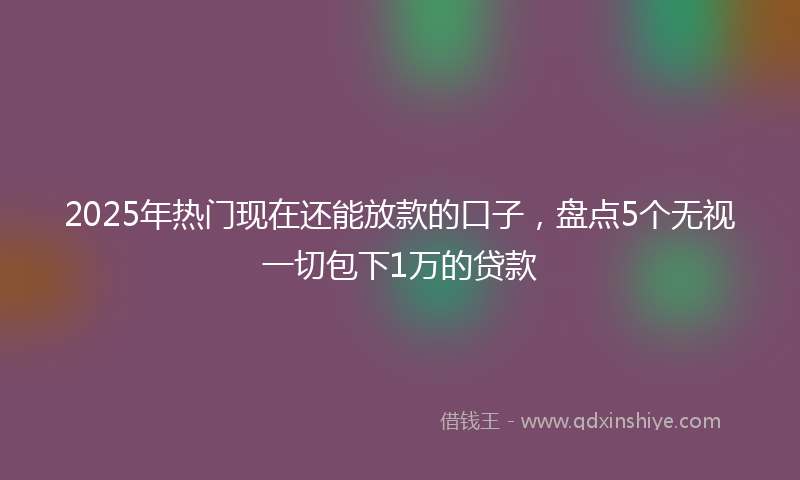 2025年热门现在还能放款的口子，盘点5个无视一切包下1万的贷款