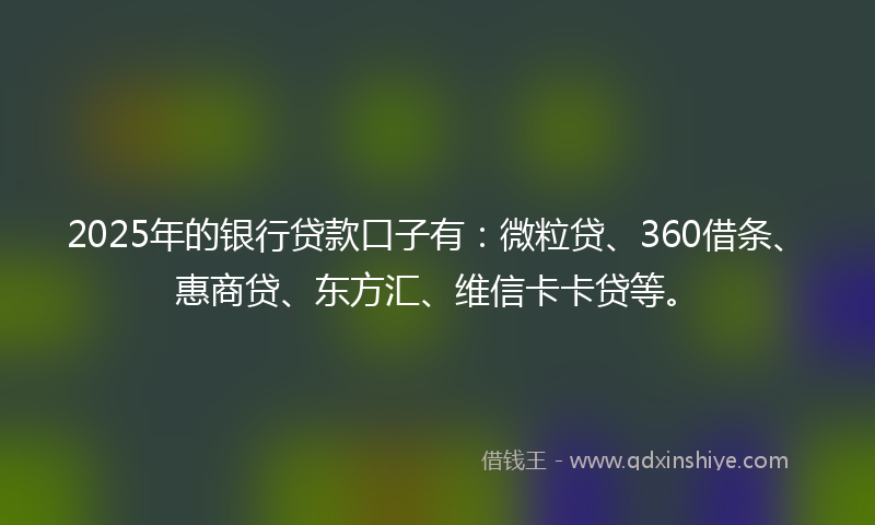 2025年的银行贷款口子有：微粒贷、360借条、惠商贷、东方汇、维信卡卡贷等。