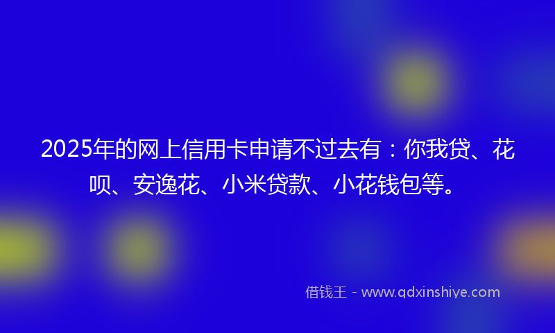 2025年的网上信用卡申请不过去有：你我贷、花呗、安逸花、小米贷款、小花钱包等。