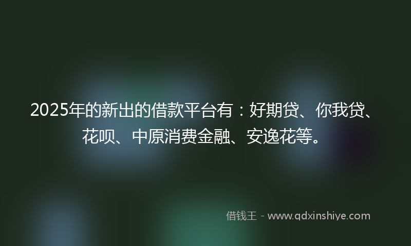 2025年的新出的借款平台有：好期贷、你我贷、花呗、中原消费金融、安逸花等。