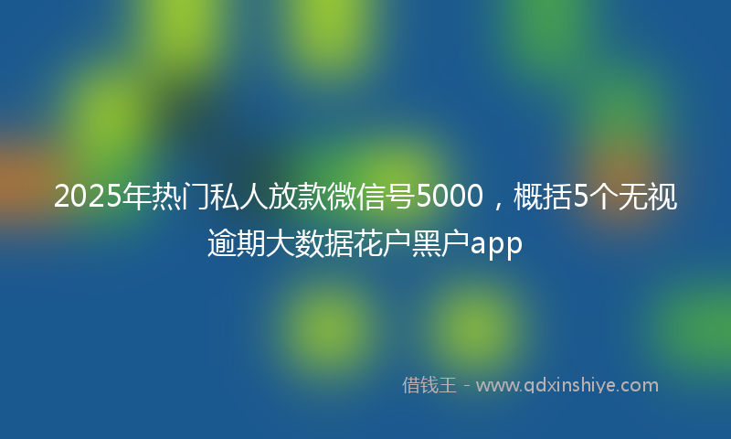 2025年热门私人放款微信号5000，概括5个无视逾期大数据花户黑户app