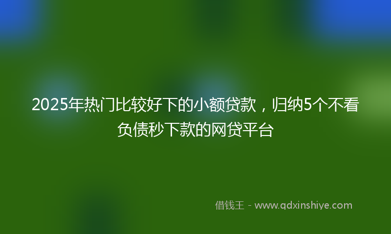 2025年热门比较好下的小额贷款，归纳5个不看负债秒下款的网贷平台