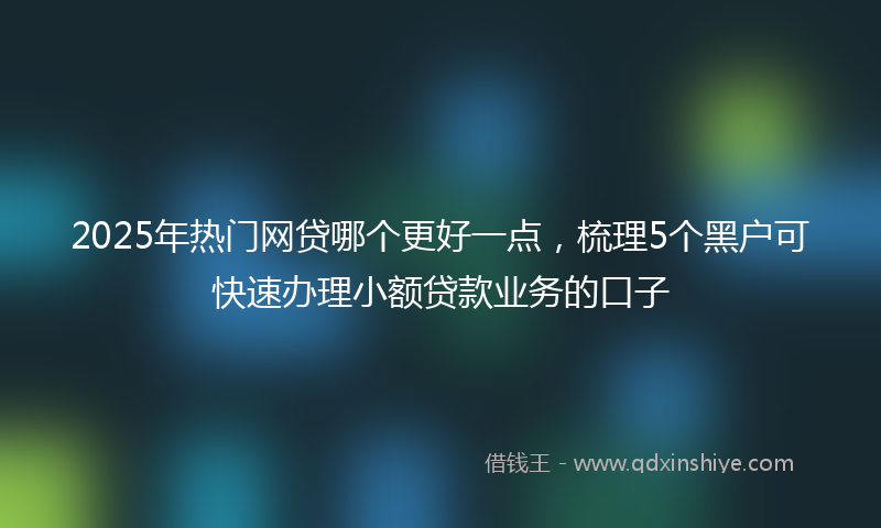 2025年热门网贷哪个更好一点，梳理5个黑户可快速办理小额贷款业务的口子