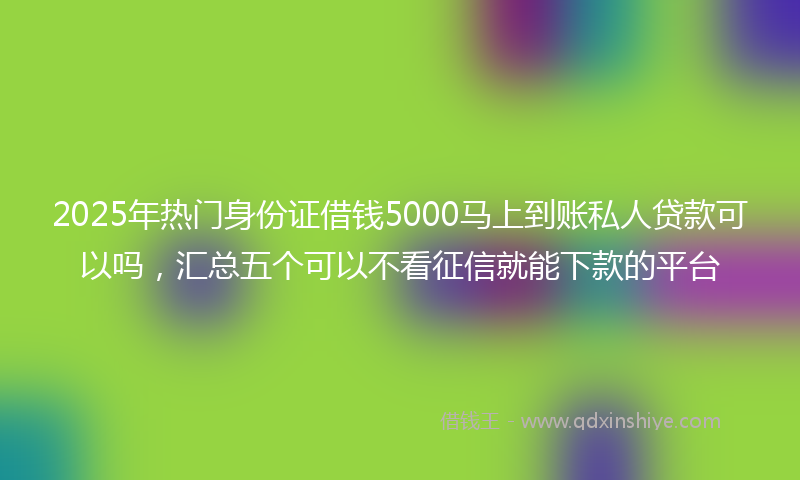 2025年热门身份证借钱5000马上到账私人贷款可以吗，汇总五个可以不看征信就能下款的平台