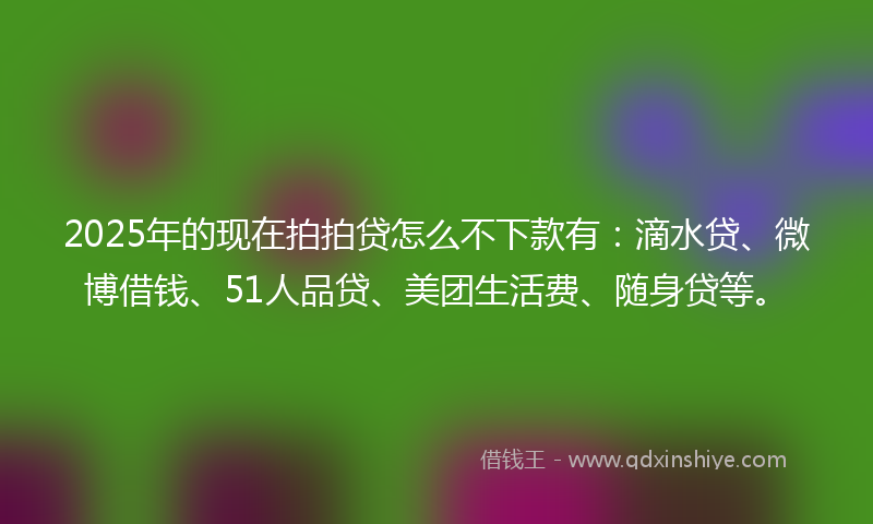 2025年的现在拍拍贷怎么不下款有：滴水贷、微博借钱、51人品贷、美团生活费、随身贷等。