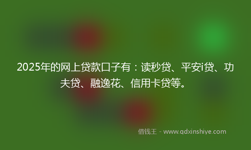 2025年的网上贷款口子有：读秒贷、平安i贷、功夫贷、融逸花、信用卡贷等。