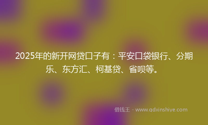 2025年的新开网贷口子有：平安口袋银行、分期乐、东方汇、柯基贷、省呗等。