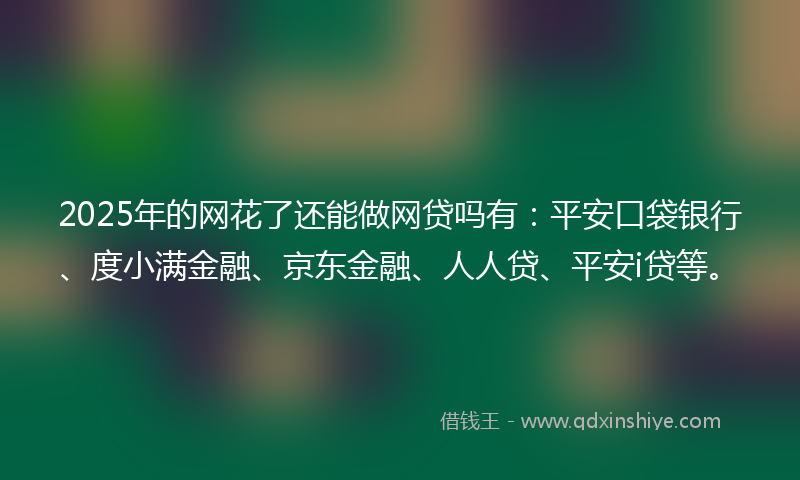 2025年的网花了还能做网贷吗有：平安口袋银行、度小满金融、京东金融、人人贷、平安i贷等。