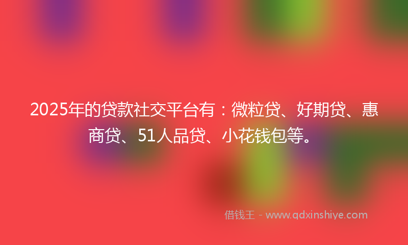 2025年的贷款社交平台有：微粒贷、好期贷、惠商贷、51人品贷、小花钱包等。