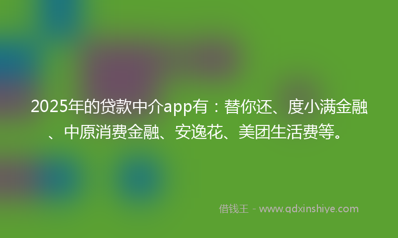 2025年的贷款中介app有：替你还、度小满金融、中原消费金融、安逸花、美团生活费等。