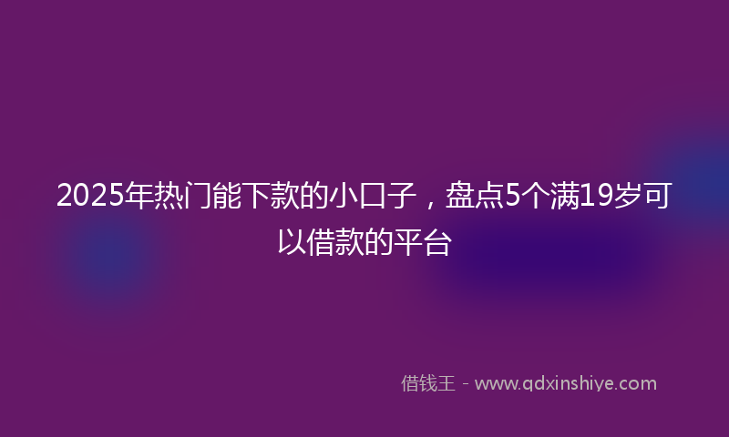 2025年热门能下款的小口子，盘点5个满19岁可以借款的平台