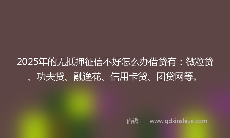 2025年的无抵押征信不好怎么办借贷有：微粒贷、功夫贷、融逸花、信用卡贷、团贷网等。