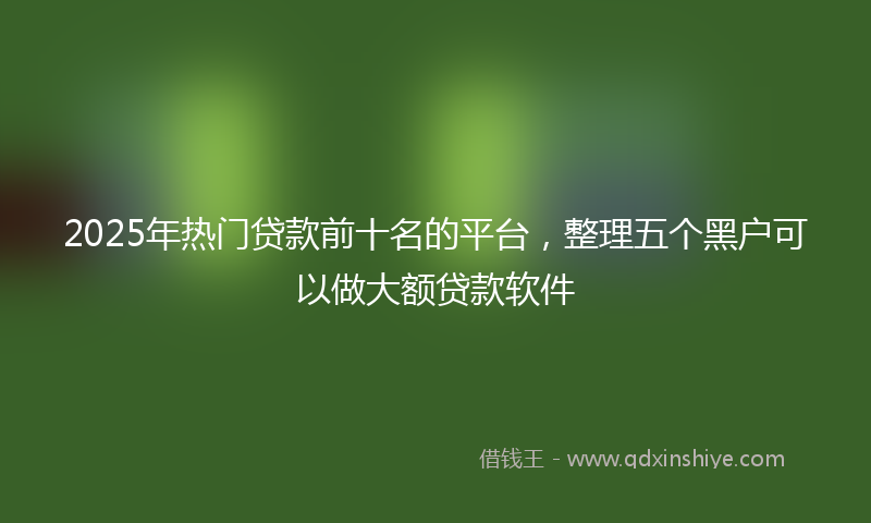 2025年热门贷款前十名的平台，整理五个黑户可以做大额贷款软件