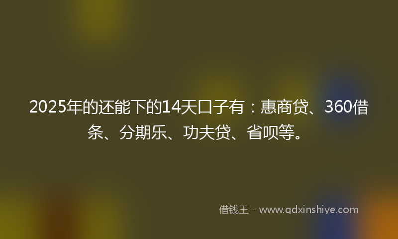 2025年的还能下的14天口子有：惠商贷、360借条、分期乐、功夫贷、省呗等。