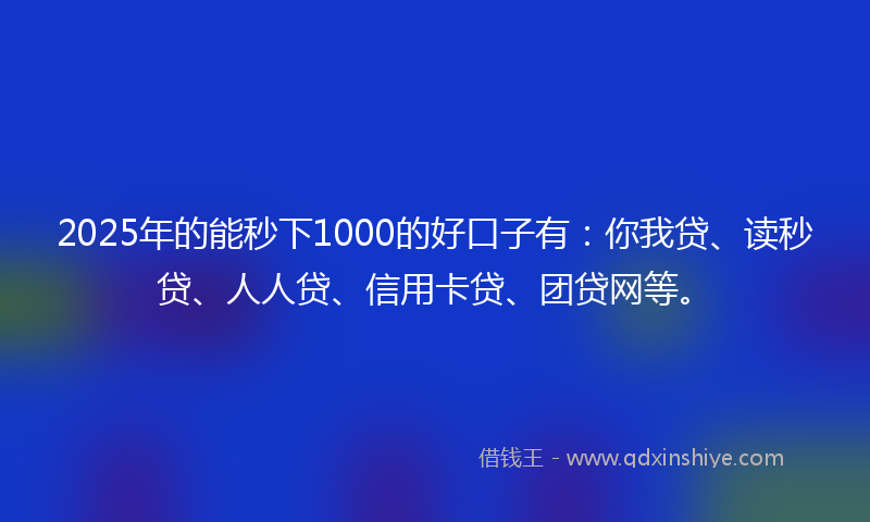 2025年的能秒下1000的好口子有：你我贷、读秒贷、人人贷、信用卡贷、团贷网等。